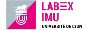 Logo LabEx IMU 