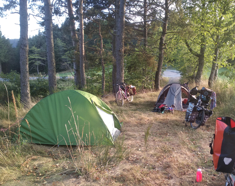 Photo du campement 2022 à l'observatoire. Tentes et vélos dans un bosqué.